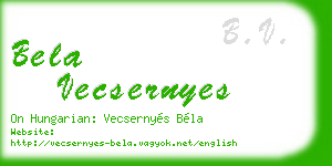 bela vecsernyes business card
