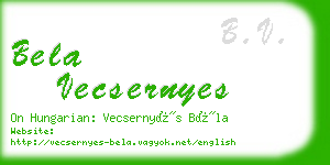 bela vecsernyes business card